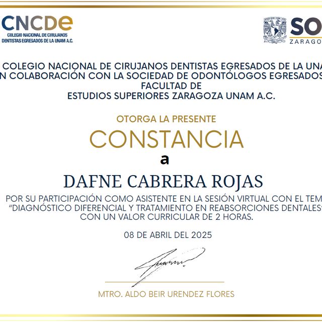 Ampliar imagen: certificate 1