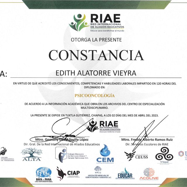Ampliar imagen: certificate 3