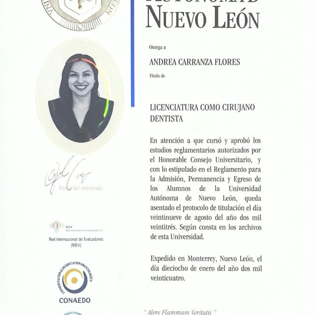 Ampliar imagen: certificate 1