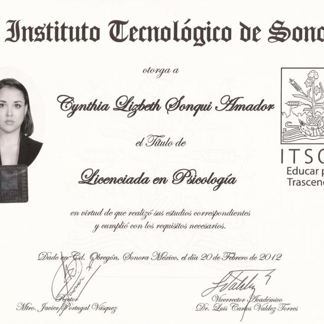 Ampliar imagen: certificate 1