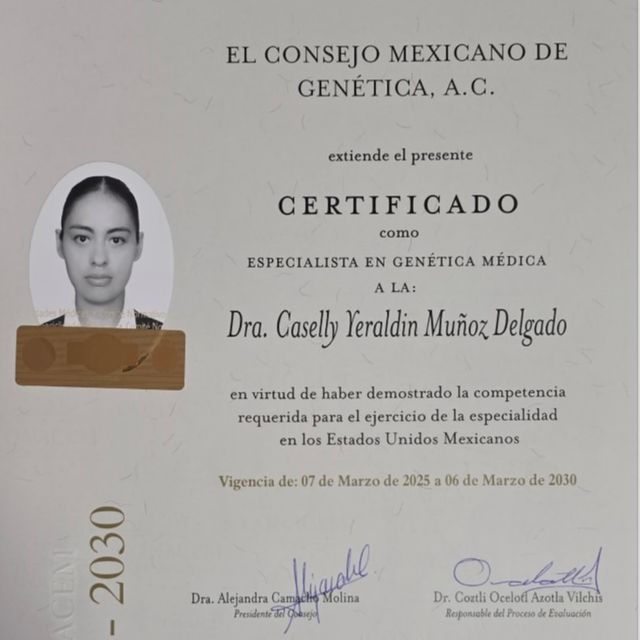Ampliar imagen: certificate 1