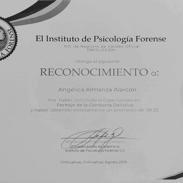 Ampliar imagen: certificate 2