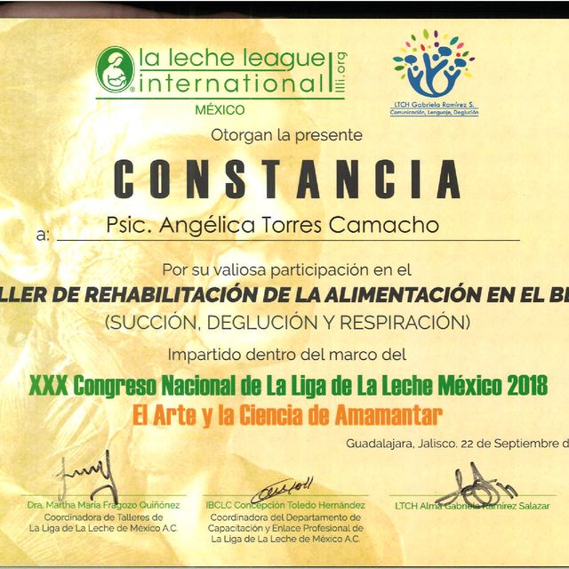 Ampliar imagen: certificate 5