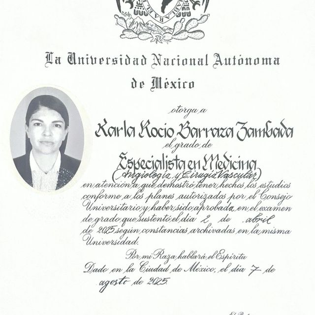 Ampliar imagen: certificate 1