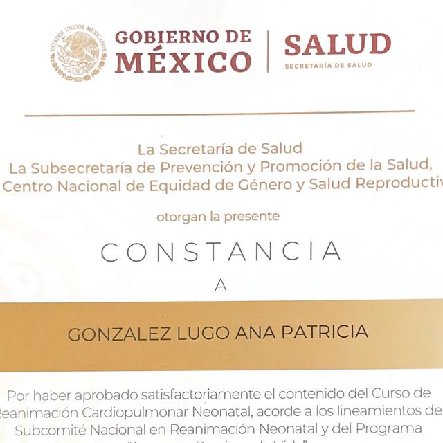 Ampliar imagen: certificate 4