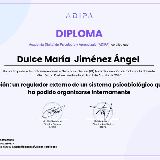 Ampliar imagen: certificate 7