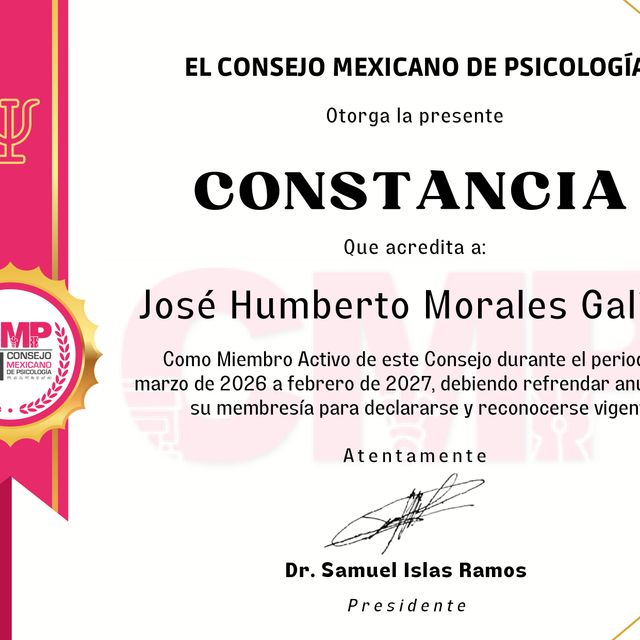 Ampliar imagen: certificate 1