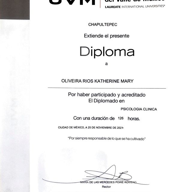 Ampliar imagen: certificate 2