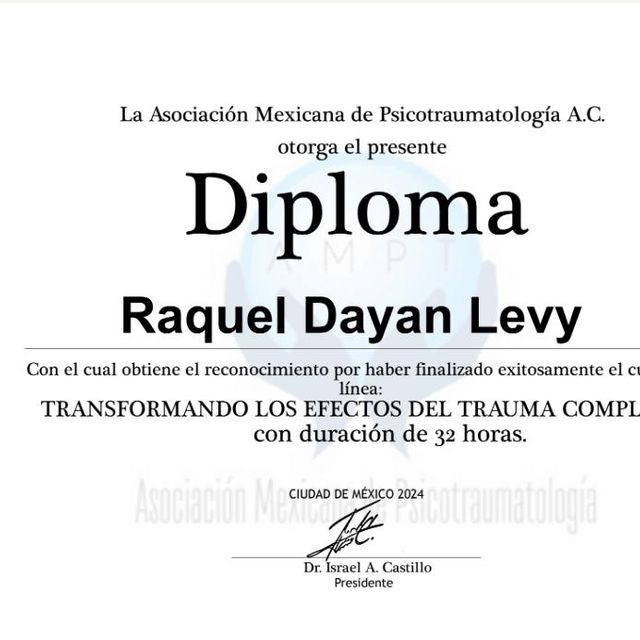 Ampliar imagen: certificate 12