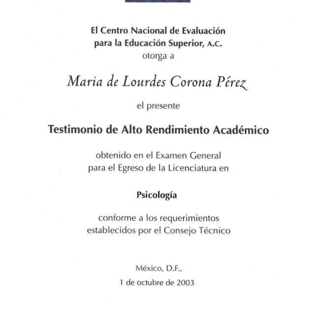 Ampliar imagen: certificate 3
