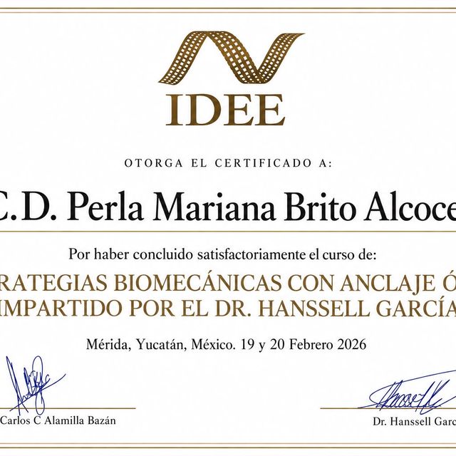 Ampliar imagen: certificate 3