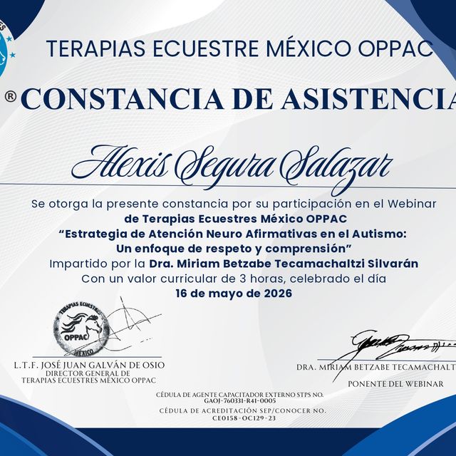 Ampliar imagen: certificate 14