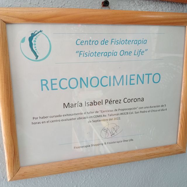 Ampliar imagen: certificate 2