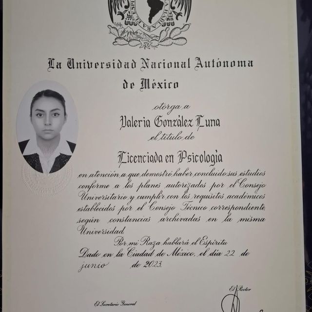 Ampliar imagen: certificate 1