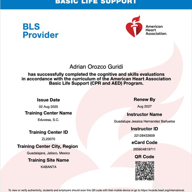 Ampliar imagen: certificate 2