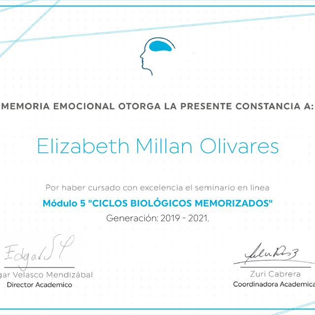 Ampliar imagen: certificate 4