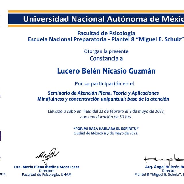 Ampliar imagen: certificate 4