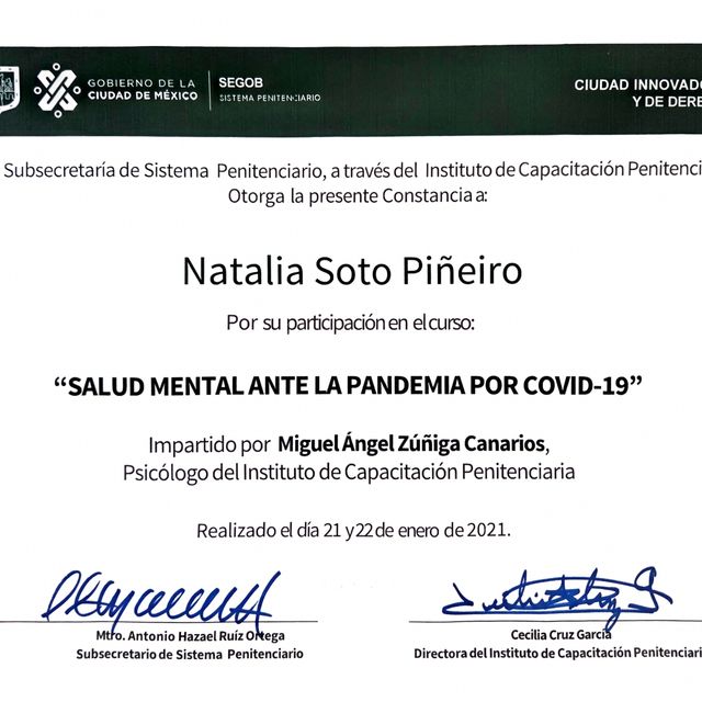 Ampliar imagen: certificate 8