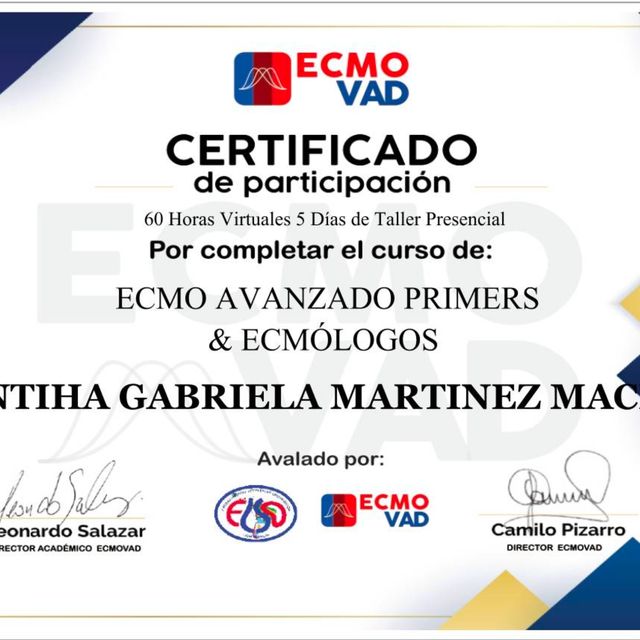 Ampliar imagen: certificate 1