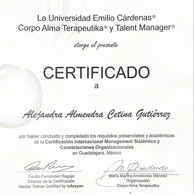 Ampliar imagen: certificate 3