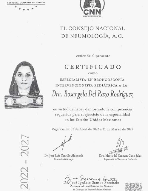 Ampliar imagen: certificate 4