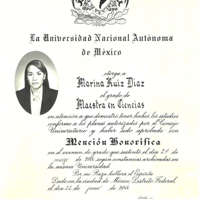 Ampliar imagen: certificate 4