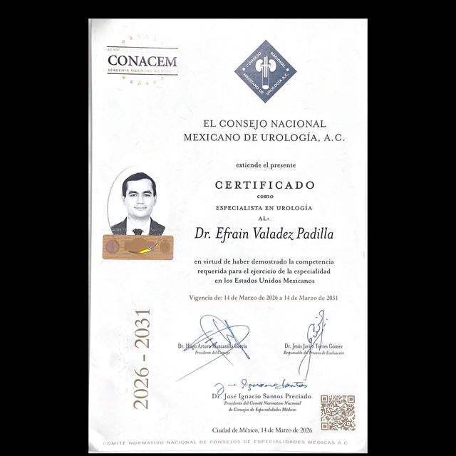 Ampliar imagen: certificate 1