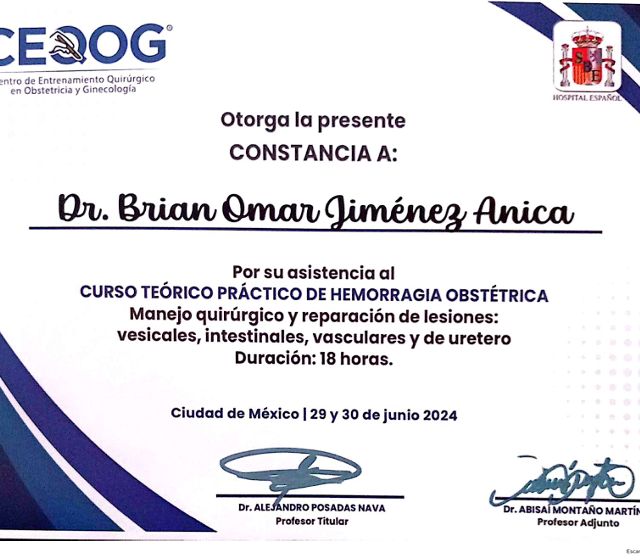 Ampliar imagen: certificate 3