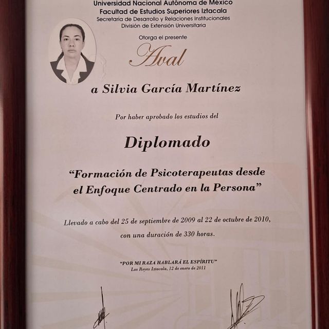 Ampliar imagen: certificate 2