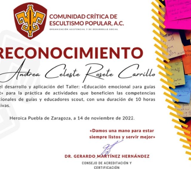 Ampliar imagen: certificate 4