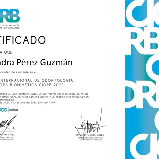 Ampliar imagen: certificate 1