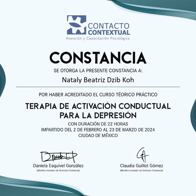 Ampliar imagen: certificate 2