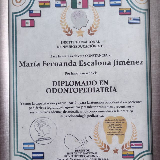 Ampliar imagen: certificate 5