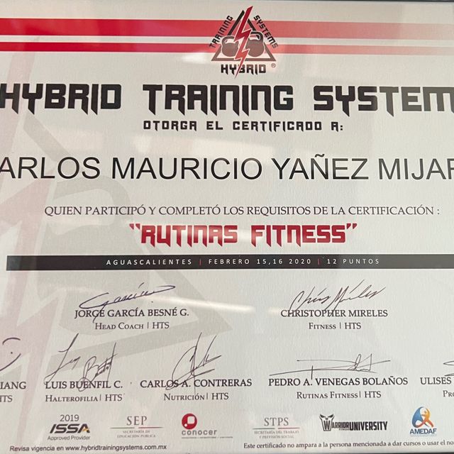 Ampliar imagen: certificate 5