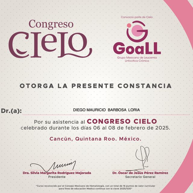 Ampliar imagen: certificate 11