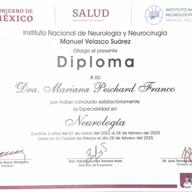 Ampliar imagen: certificate 3