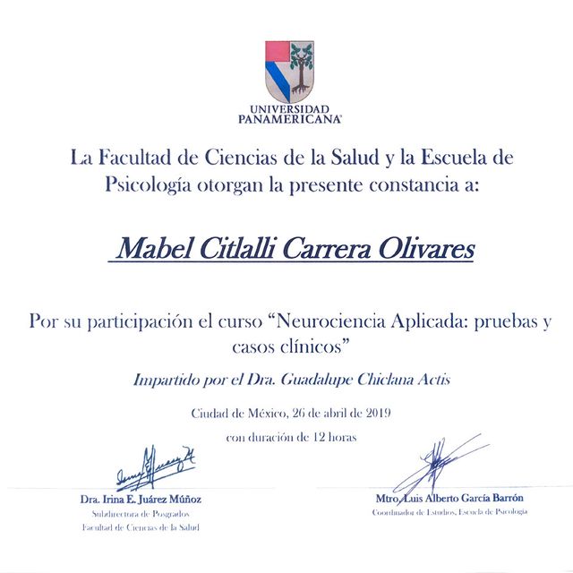 Ampliar imagen: certificate 4