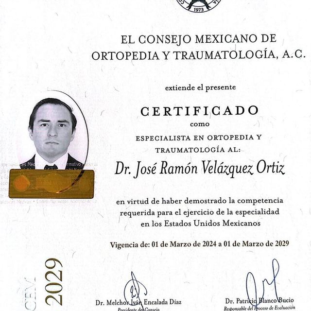 Ampliar imagen: certificate 5