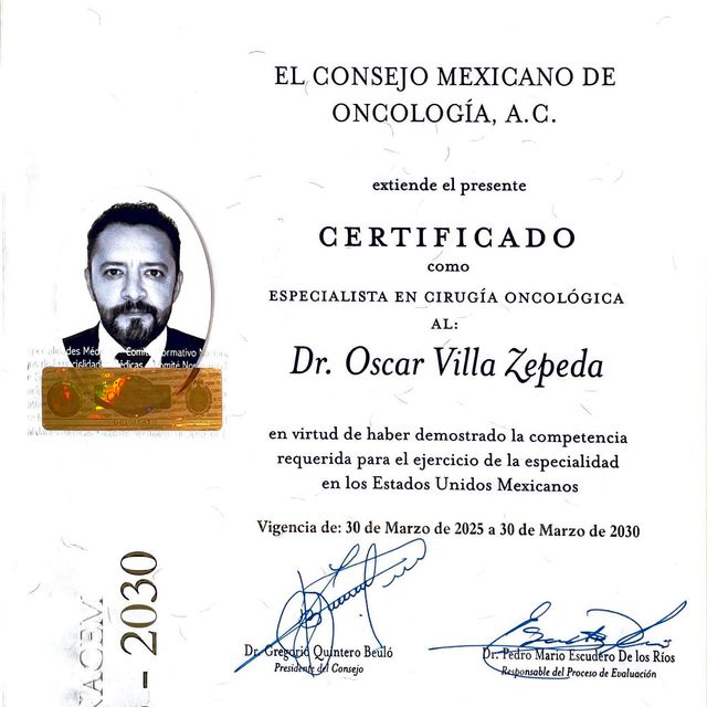 Ampliar imagen: certificate 2