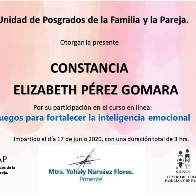 Ampliar imagen: certificate 7