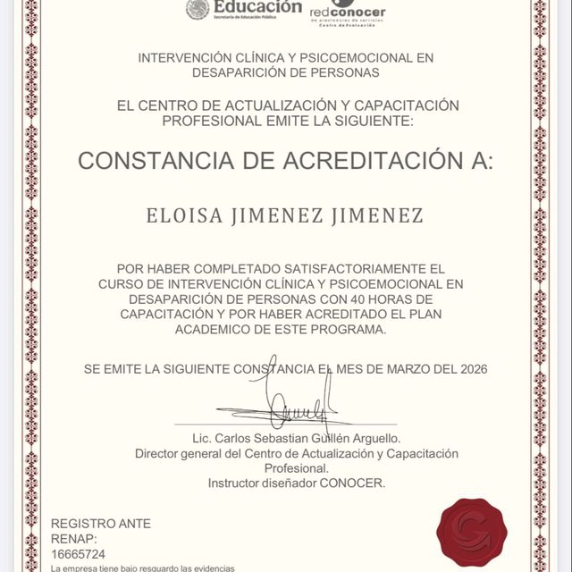 Ampliar imagen: certificate 11