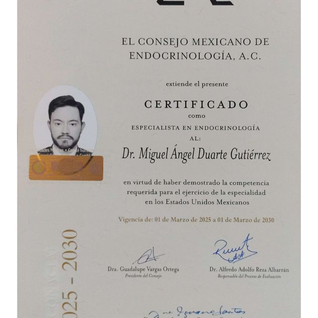 Ampliar imagen: certificate 1