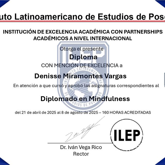 Ampliar imagen: certificate 3