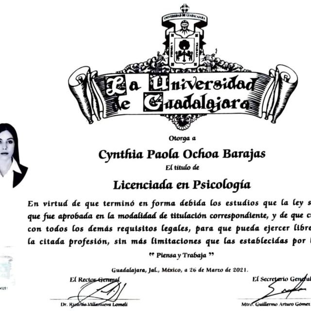 Ampliar imagen: certificate 2