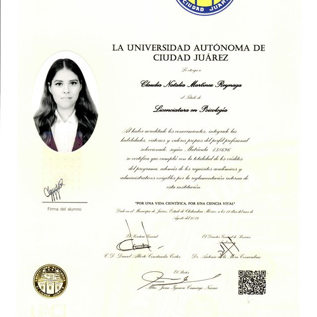 Ampliar imagen: certificate 2
