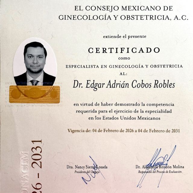 Ampliar imagen: certificate 7