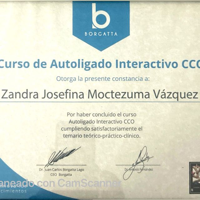 Ampliar imagen: certificate 5