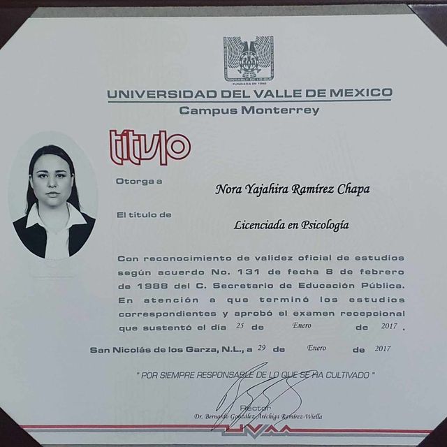 Ampliar imagen: certificate 1