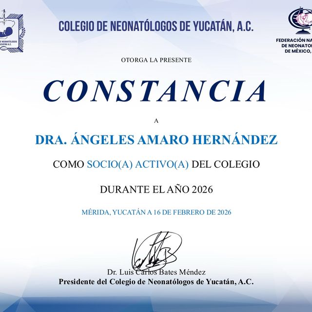 Ampliar imagen: certificate 5
