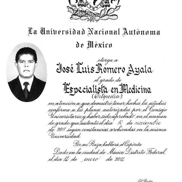 Ampliar imagen: certificate 3